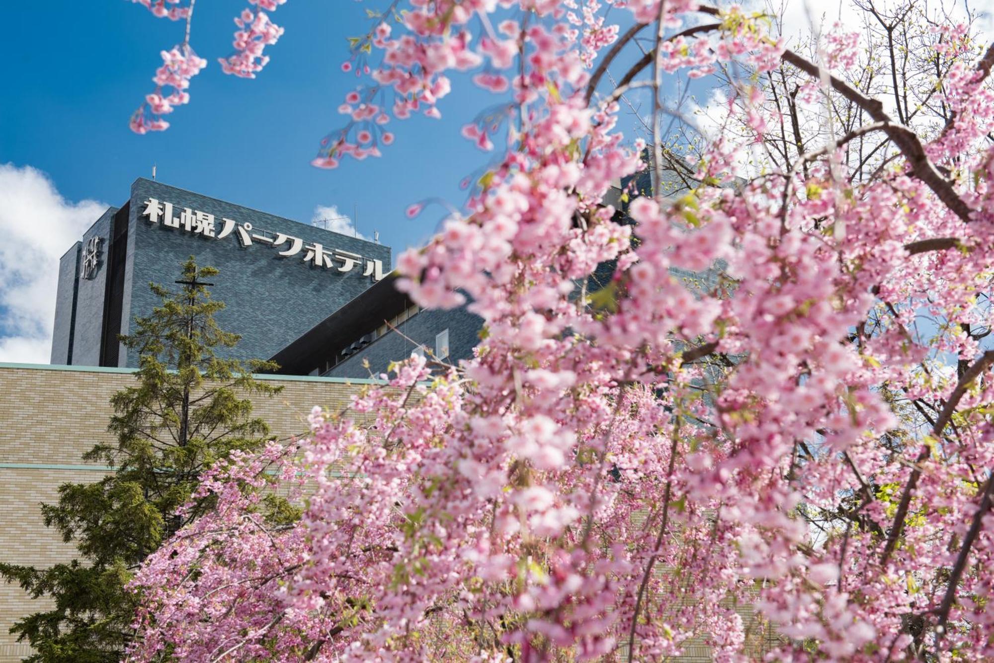 โรงแรมซัปโปโร ปาร์ค ภายนอก รูปภาพ Sapporo University